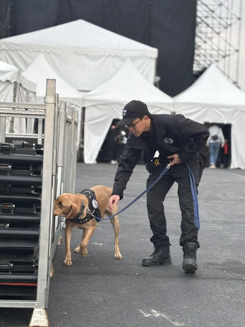 警犬認真身影。桃園警犬隊提供