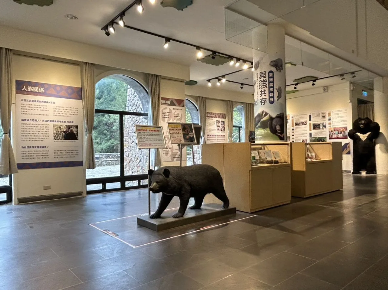 塔塔加黑熊常設展。玉山國家公園提供