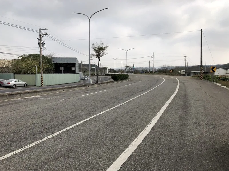 石虎遭路殺地點。民眾提供