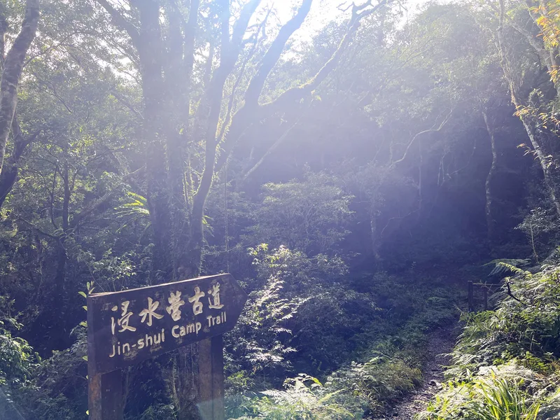 浸水營國家步道東段-加羅板出入口去年受颱風影響，道路嚴重受損無法通行，經7個月修復，完成步道整修及倒木清理，2月28日將全線恢復開放通行，歡迎民眾走訪這條神秘古道。林保署台東分署提供