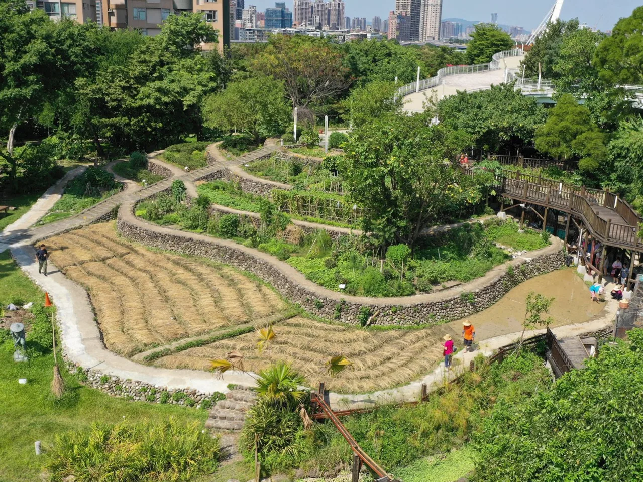 北市客家公園茶山水田空拍照。北市客基會提供