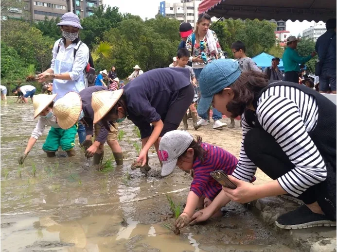 北市客家公園開放民眾體驗農忙。北市客基會提供