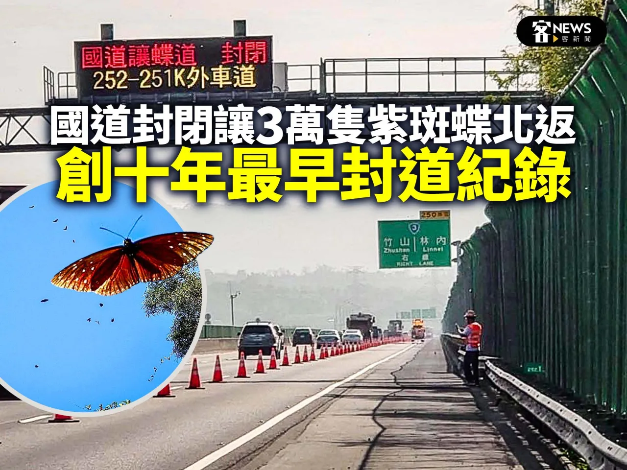 國道封閉讓3萬隻紫斑蝶北返　創十年最早封道紀錄