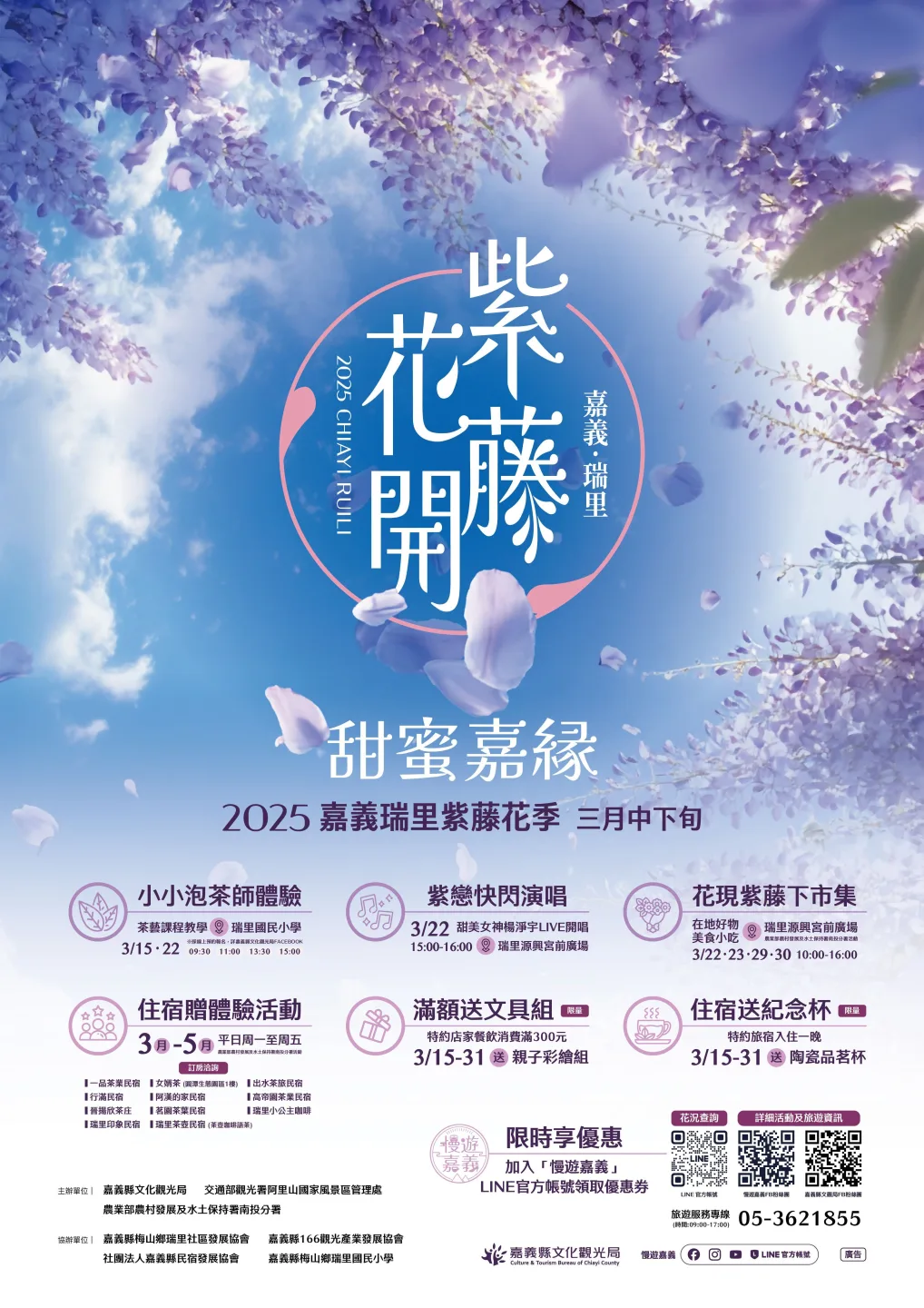 嘉縣山區紫藤花開已過5成　花期預估至3月底