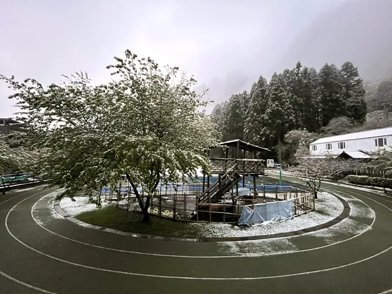 竹縣尖石下雪　新光國小、司馬庫斯分校停班課