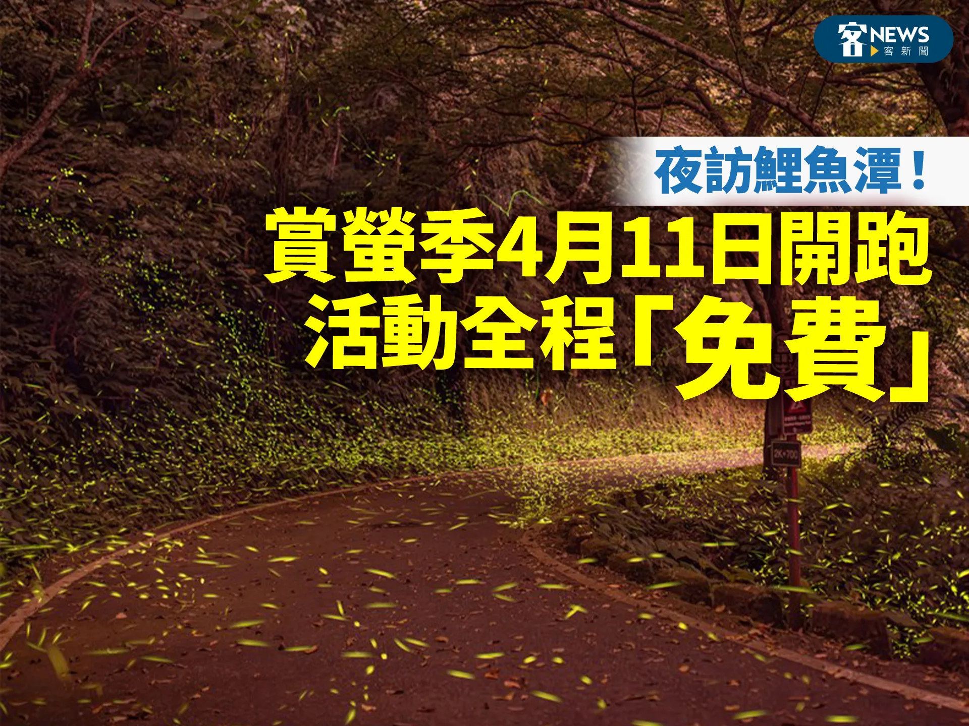 夜訪鯉魚潭！賞螢季4月11日開跑　活動全程「免費」