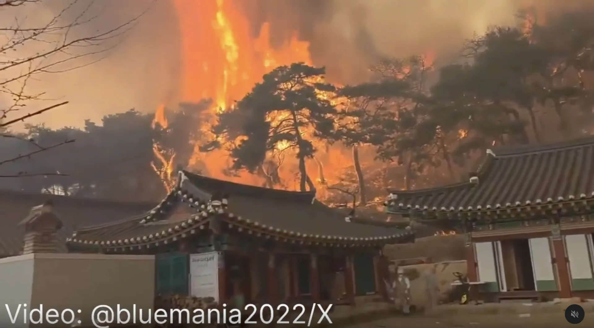擁有千年歷史的雲羅寺（Unramsa）建築已被大火燒毀。翻攝自推特X