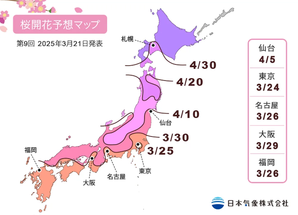 東京櫻花開了　日本氣象廳：比去年早5天