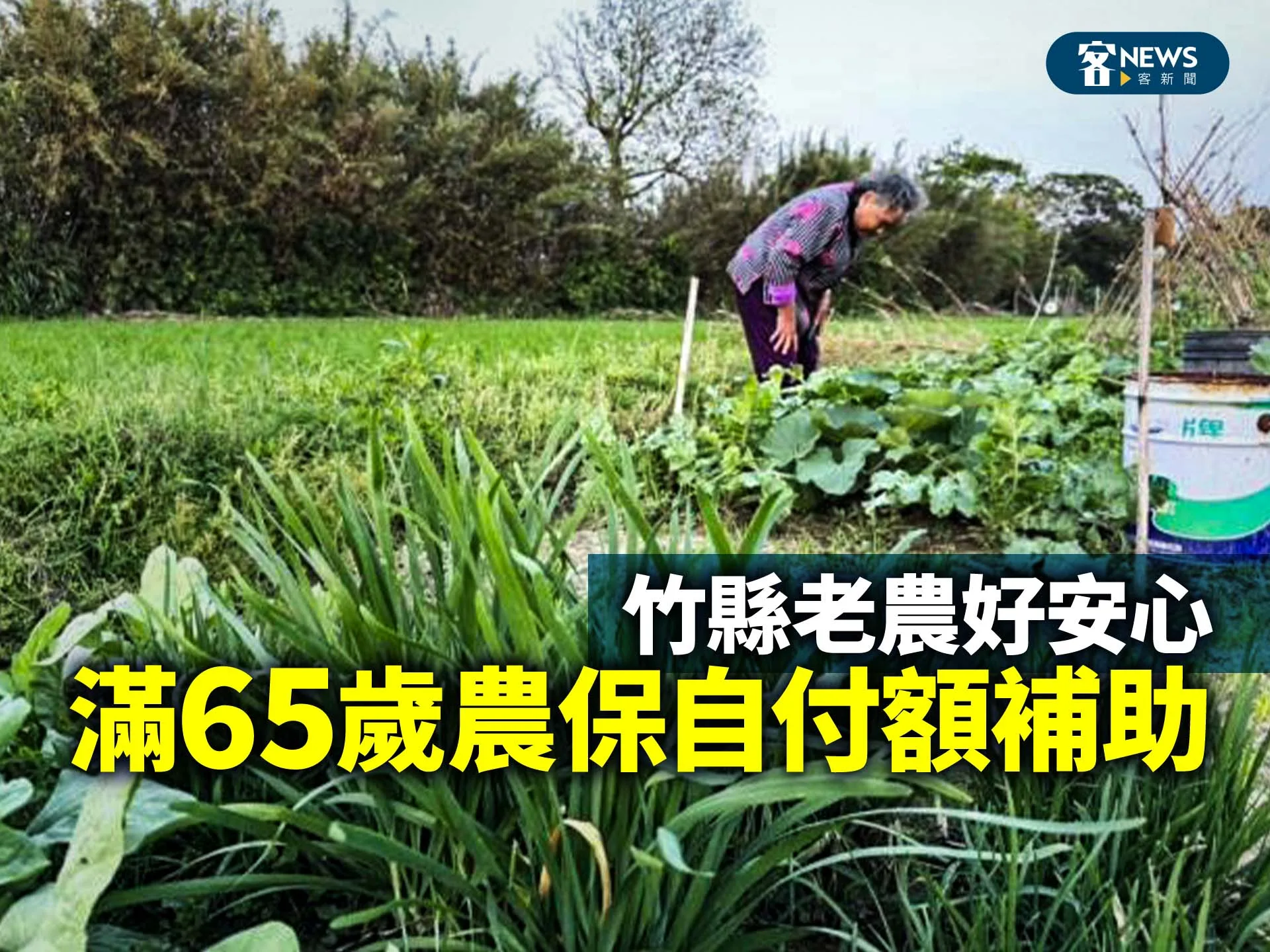 竹縣老農好安心　滿65歲享農保自付額補助