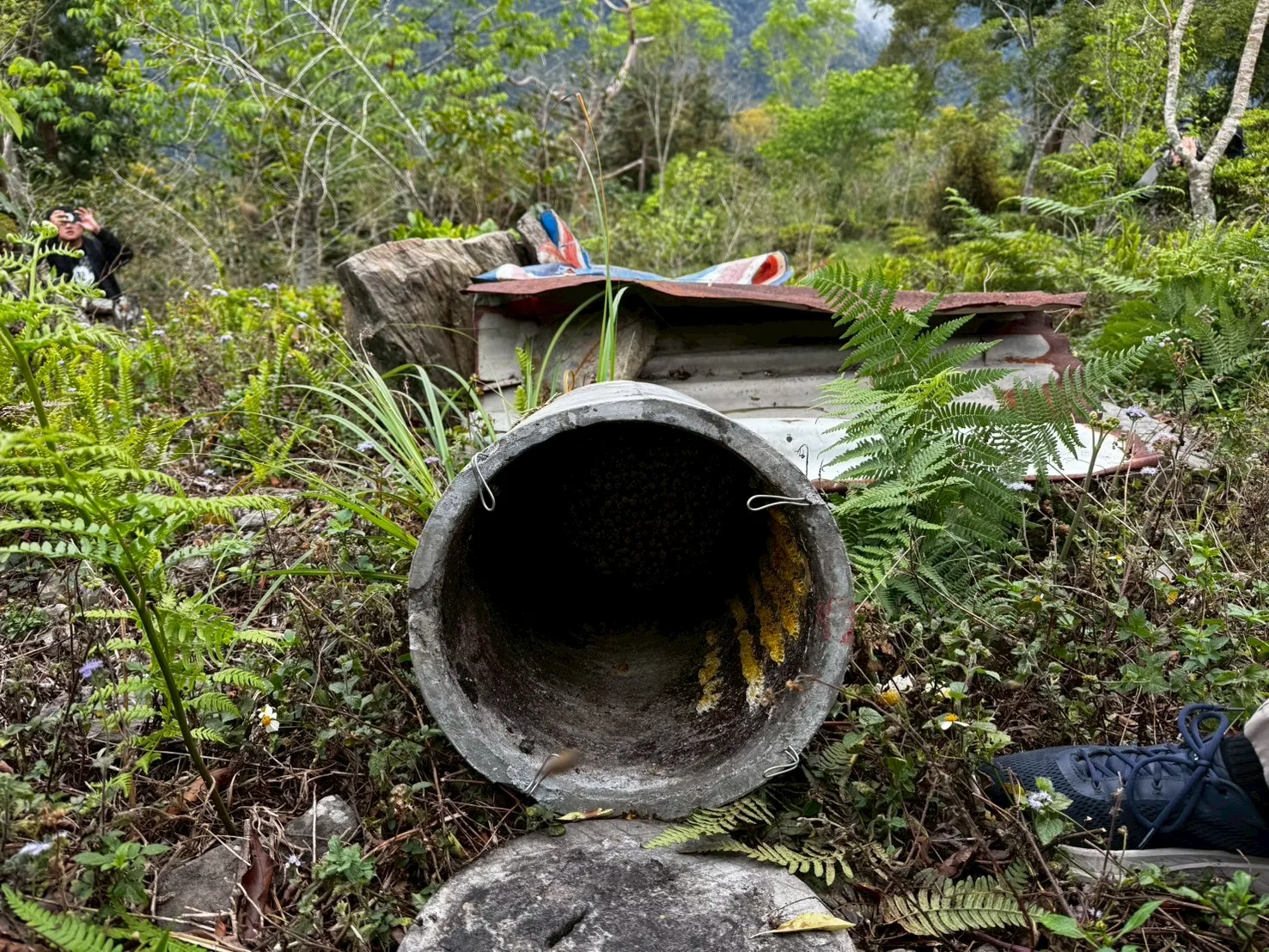 遭黑熊破壞取食之蜂箱(水泥製)。林業保育署屏東分署提供