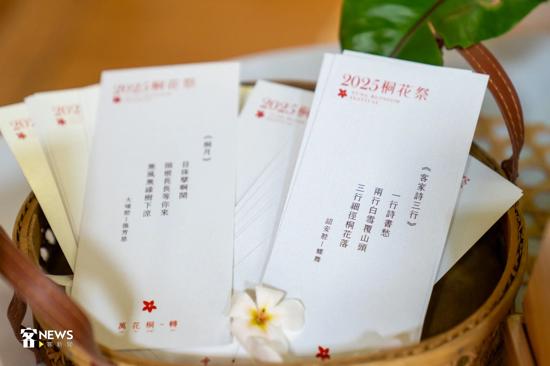 桐花季相關活動有選出心中最靚的桐花樹，以及桐花三行詩徵選活動。洪藝晅攝