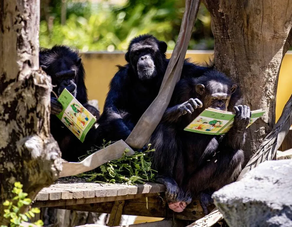 響應世界閱讀日，壽山動物園特製「可食書」。壽山動物園提供