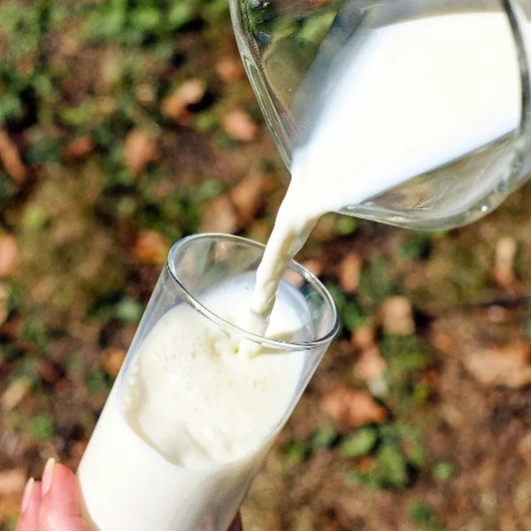 紐西蘭進口乳來台零關稅，但是市場鮮乳價格仍居高不下，消基會今天說，農業部、經濟部應對乳品市場進行全面調查分析並提出解決方案，讓台灣的鮮乳價格回歸合理水準。示意圖，消費者文教基金會提供