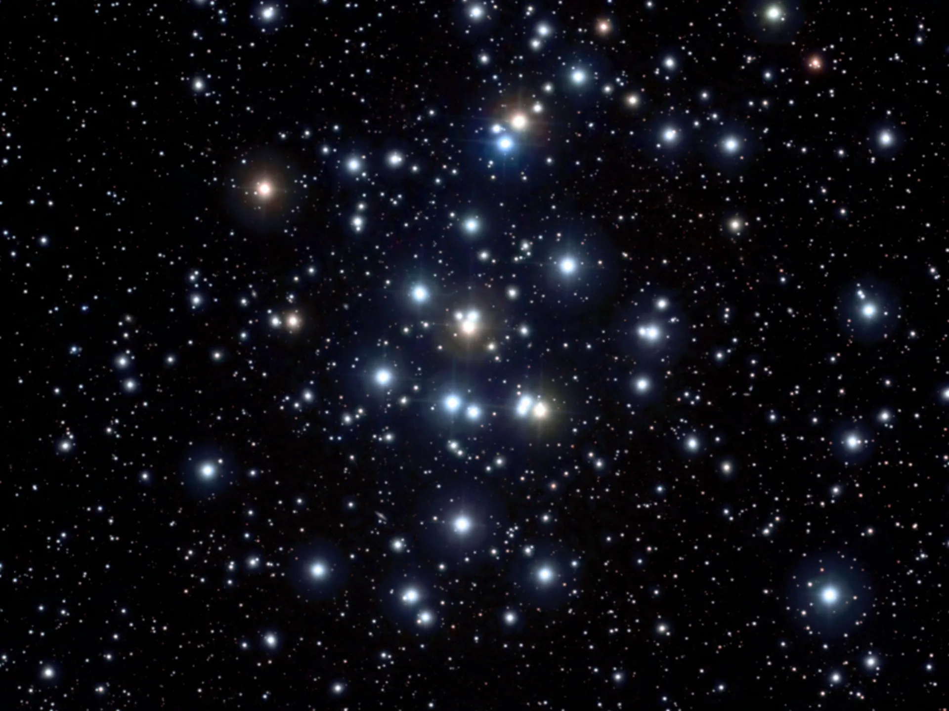 鬼宿星團M44示意圖。翻攝自Stellarium，圖片上方為北。