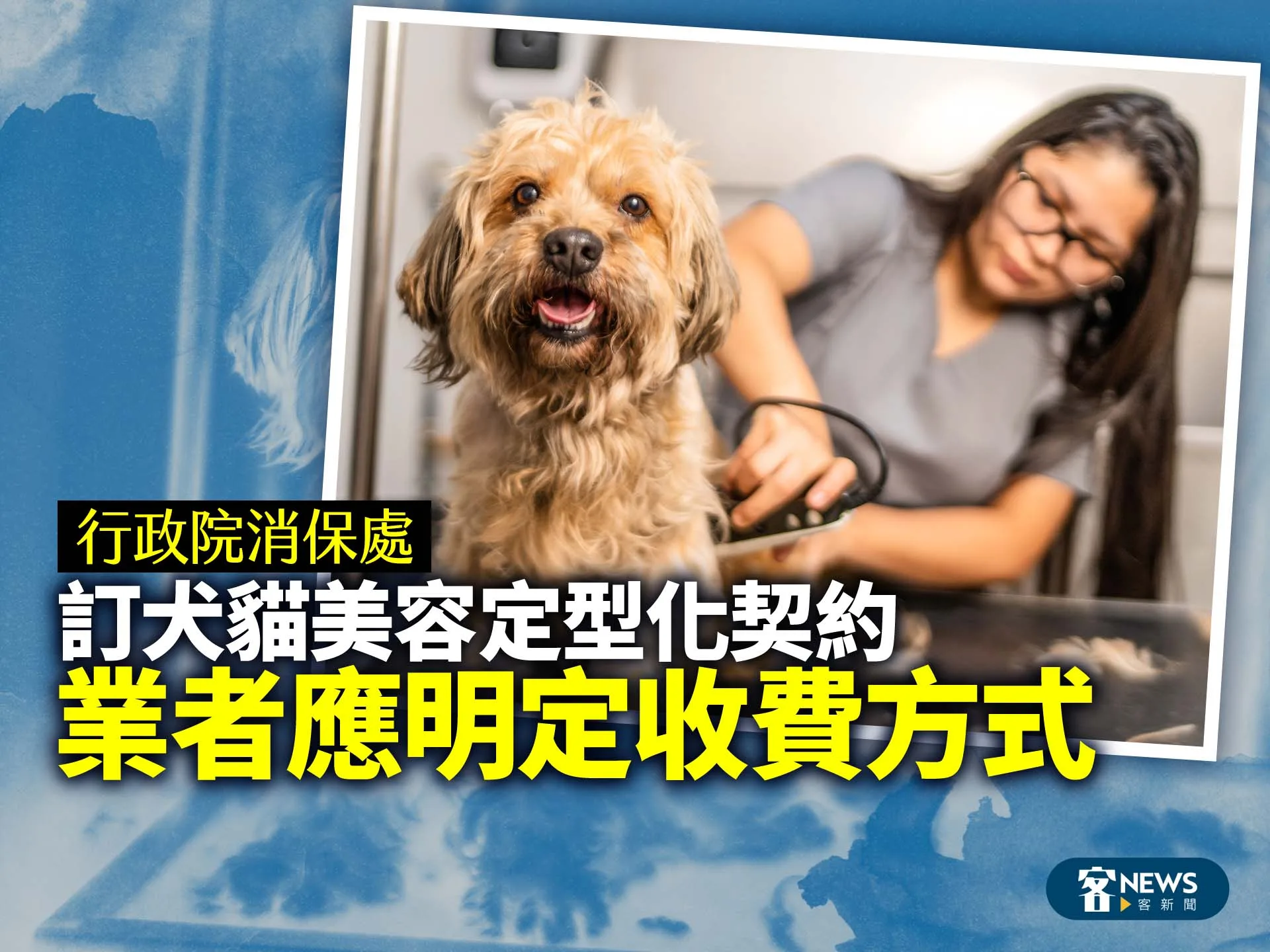 行政院消保處訂犬貓美容定型化契約　業者應明定收費方式