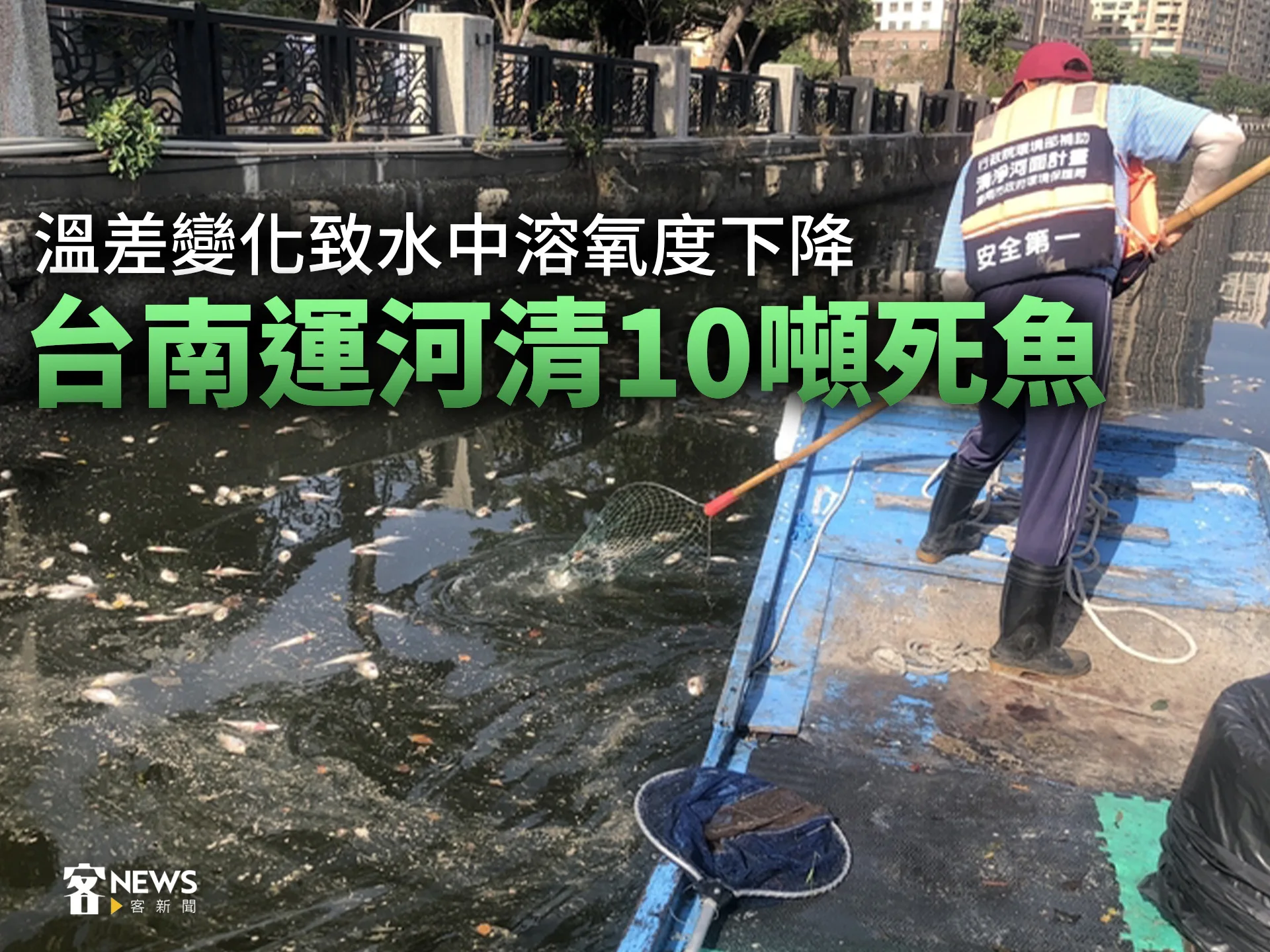 溫差變化致水中溶氧度下降　台南運河清10噸死魚