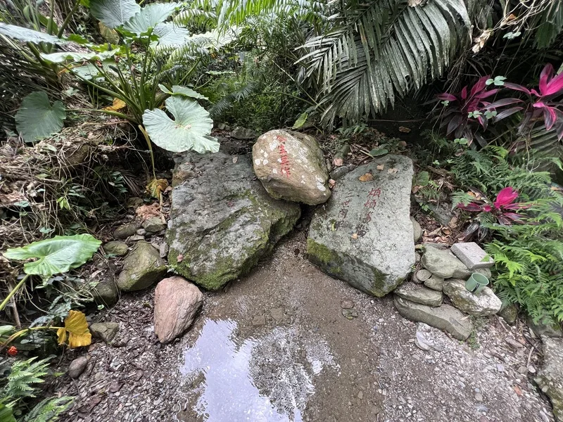 玉龍泉湧水　鹿野聖安宮取午時水擴大舉辦