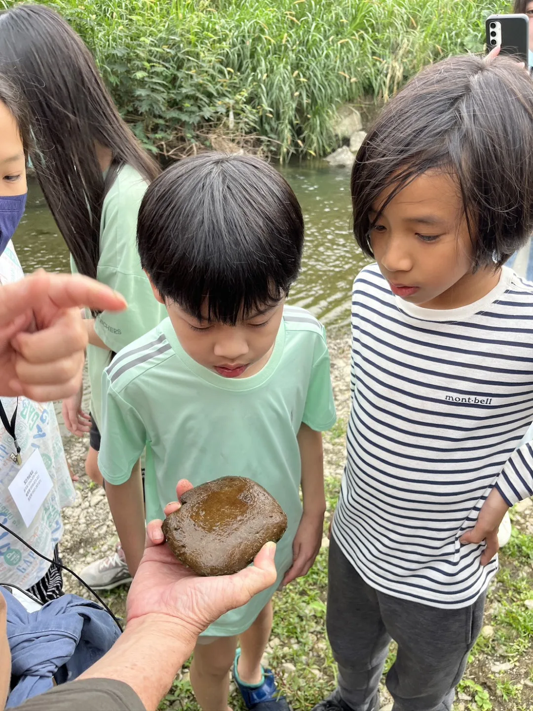 老師帶領孩子看石頭下的魚卵。資料照片，人本基金會提供