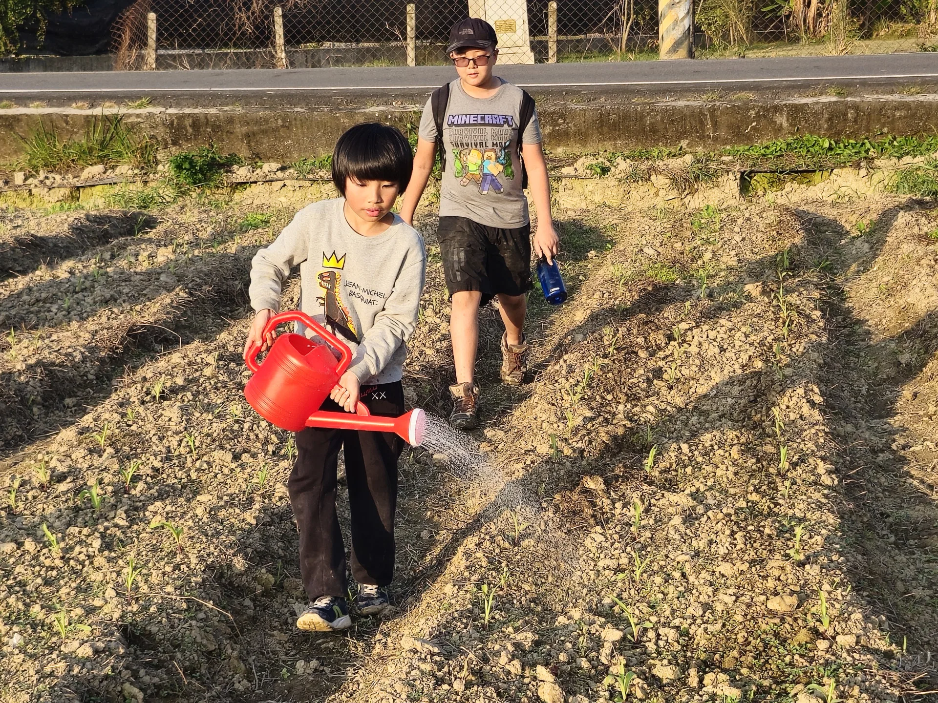 營隊學童下田，跟著當地青農澆水、抓菜蟲。資料照片，人本基金會提供