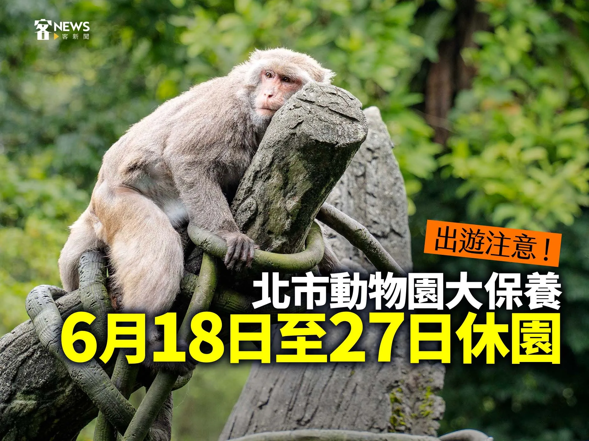 出遊注意！北市動物園大保養　6月18日至27日休園