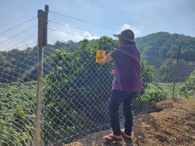 高市設電圍網防猴補助　申請期限至6月底