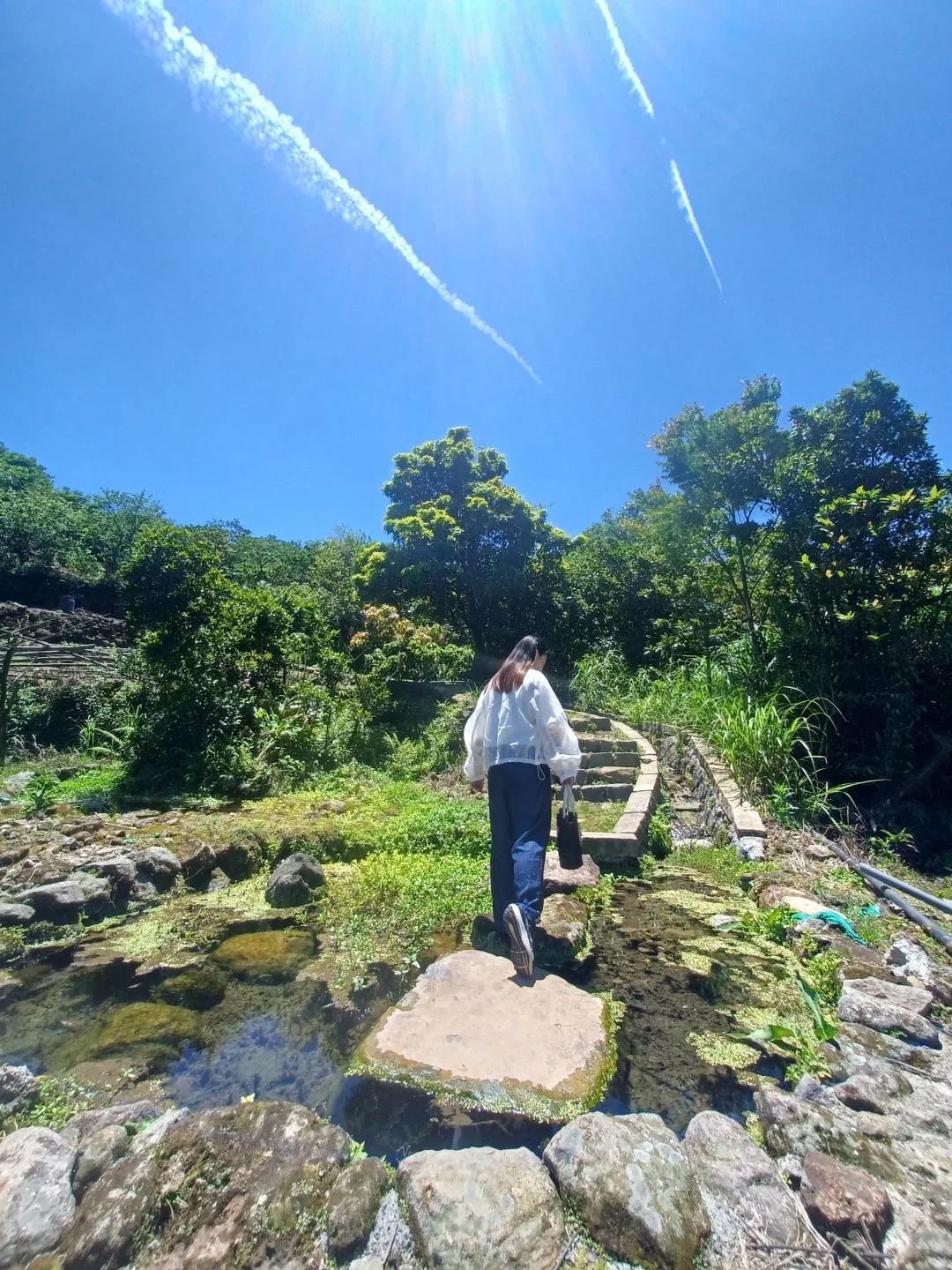 歡迎旅客造訪北投，感受湖田花海、水圳步道的獨特魅力。台北市政府工務局提供