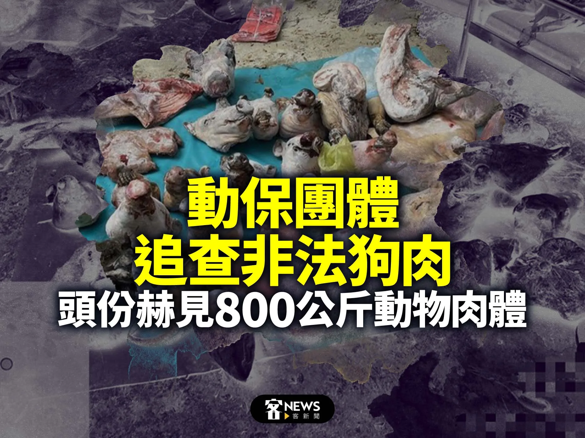 動保團體追查非法狗肉　頭份赫見800公斤動物肉體