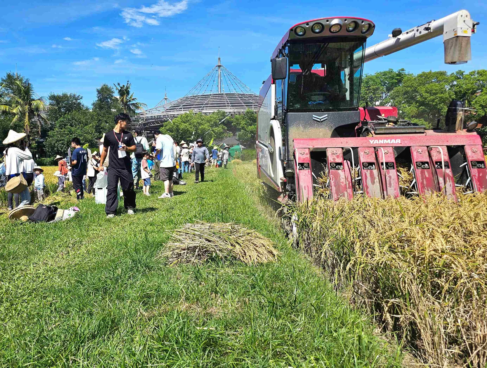 六堆黃金稻穗糯米大豐收，收割機與參與民眾。客家委員會客家文化發展中心提供