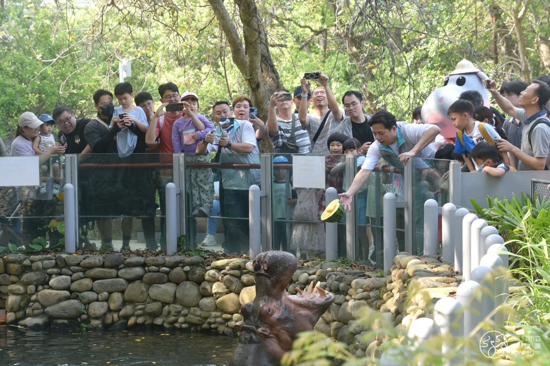 新竹動物園祭出好康，暑假期間全國12歲以下兒童可免費入園。新竹市立動物園提供