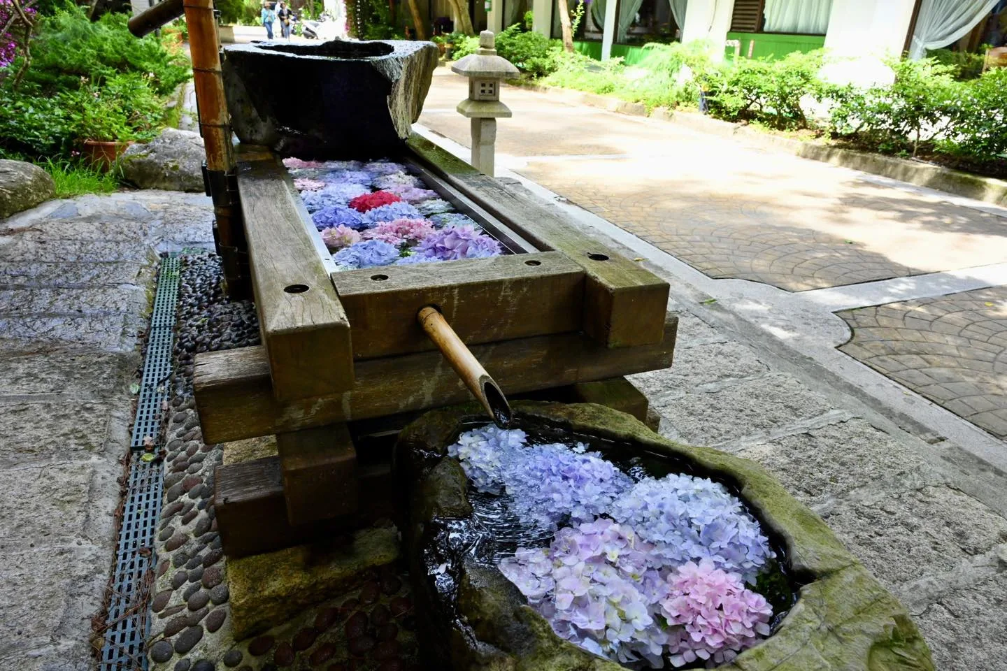 武陵農場布置「花手水」，期望旅人賞花之餘，能更進一步獲得心靈片刻的寧靜。武陵農場提供