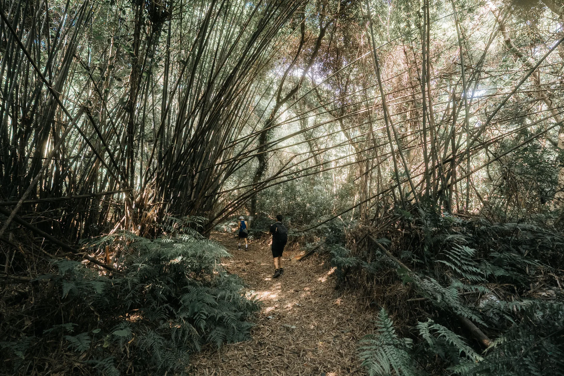 三段崎古道