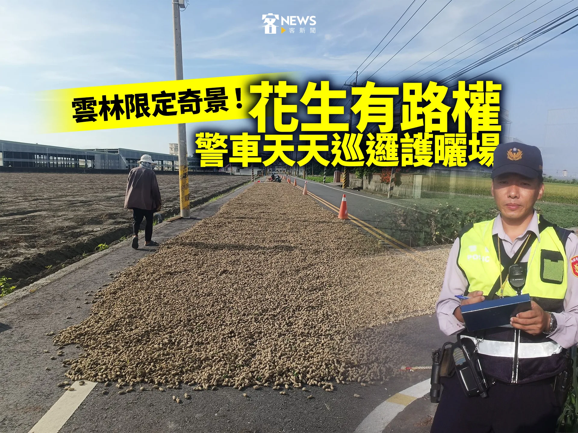 雲林限定奇景！花生有路權　警車天天巡邏護曬場