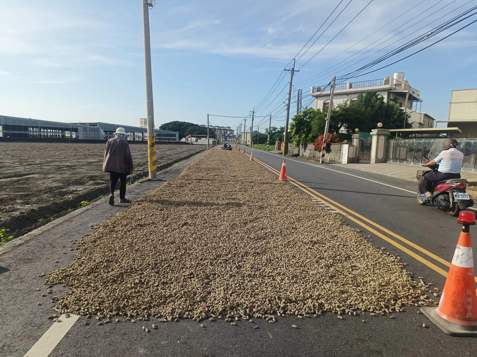 雲林縣7鄉鎮公所規劃194處合法曬場,農民可在合法路段及空地曝曬落花生。翻攝自城市農夫 (開心農場)禁止買賣 臉書社團