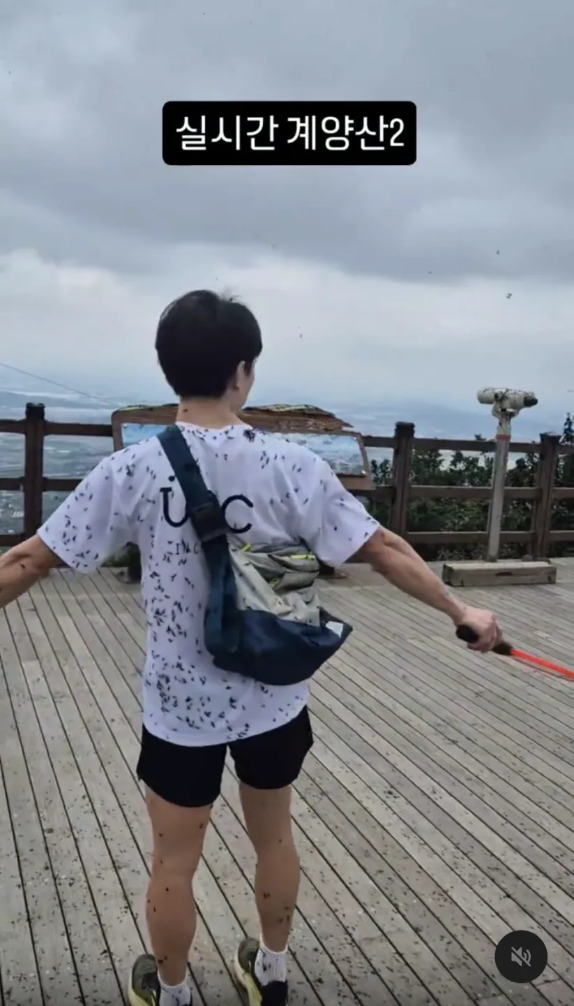 南韓近日愛情蟲大量出沒。翻攝Threads