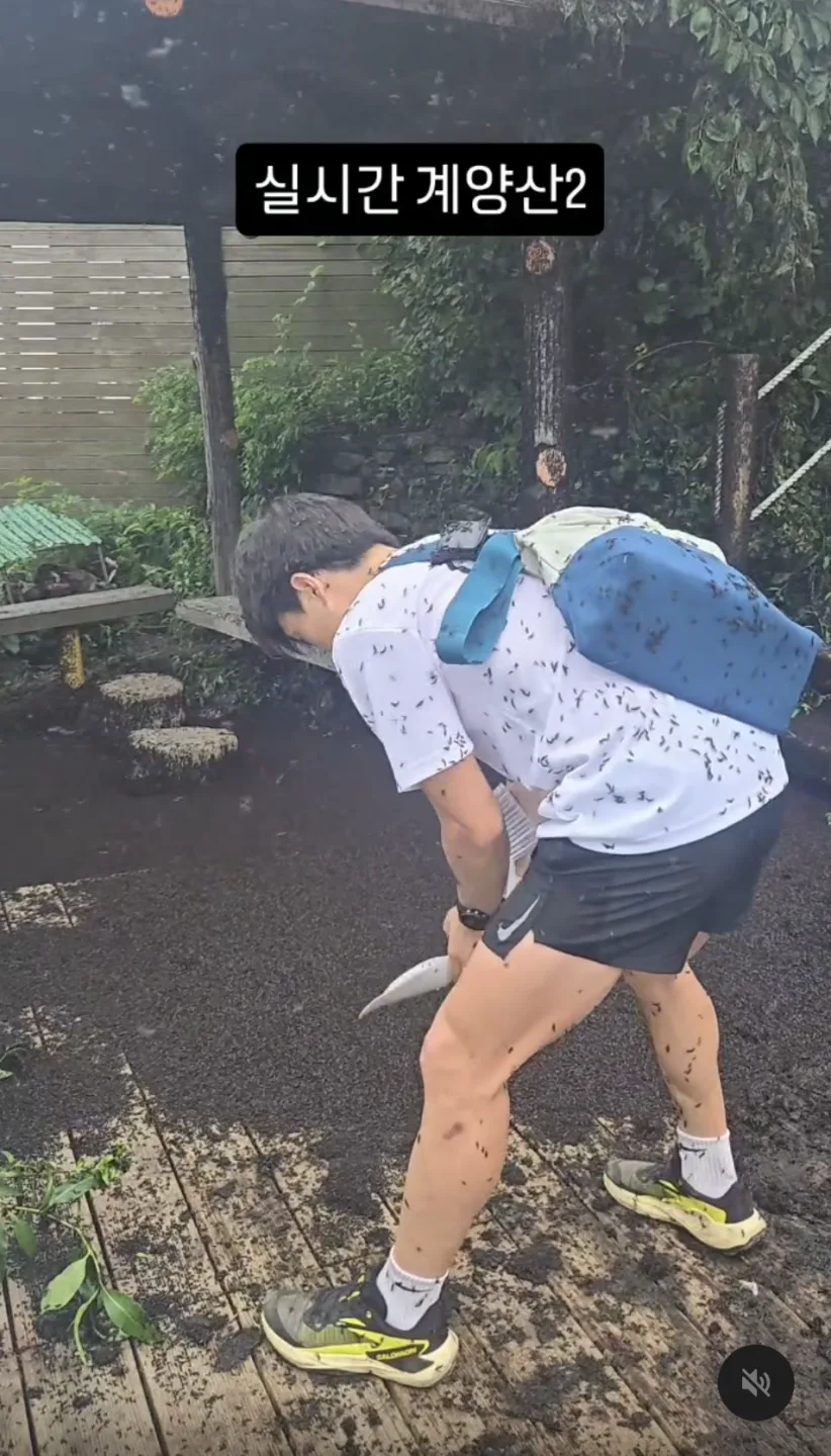 民眾在距離首爾不遠的仁川桂陽山，被密密麻麻的愛情蟲襲擊。翻攝Threads