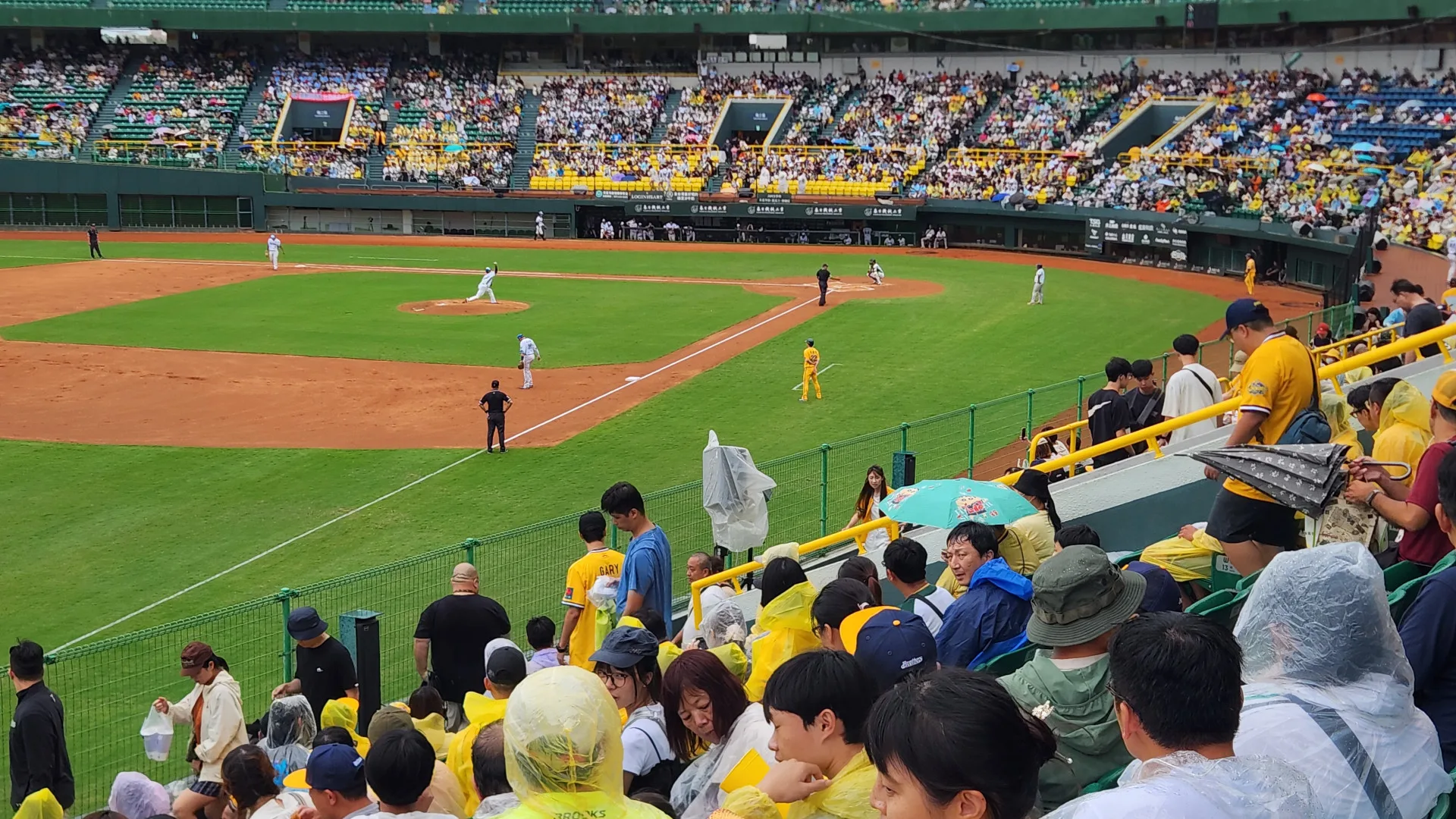 台鋼雄鷹「好客棒球日」以煞猛拚為主題,今日在高雄澄清湖球場對戰中信兄弟。球迷提供