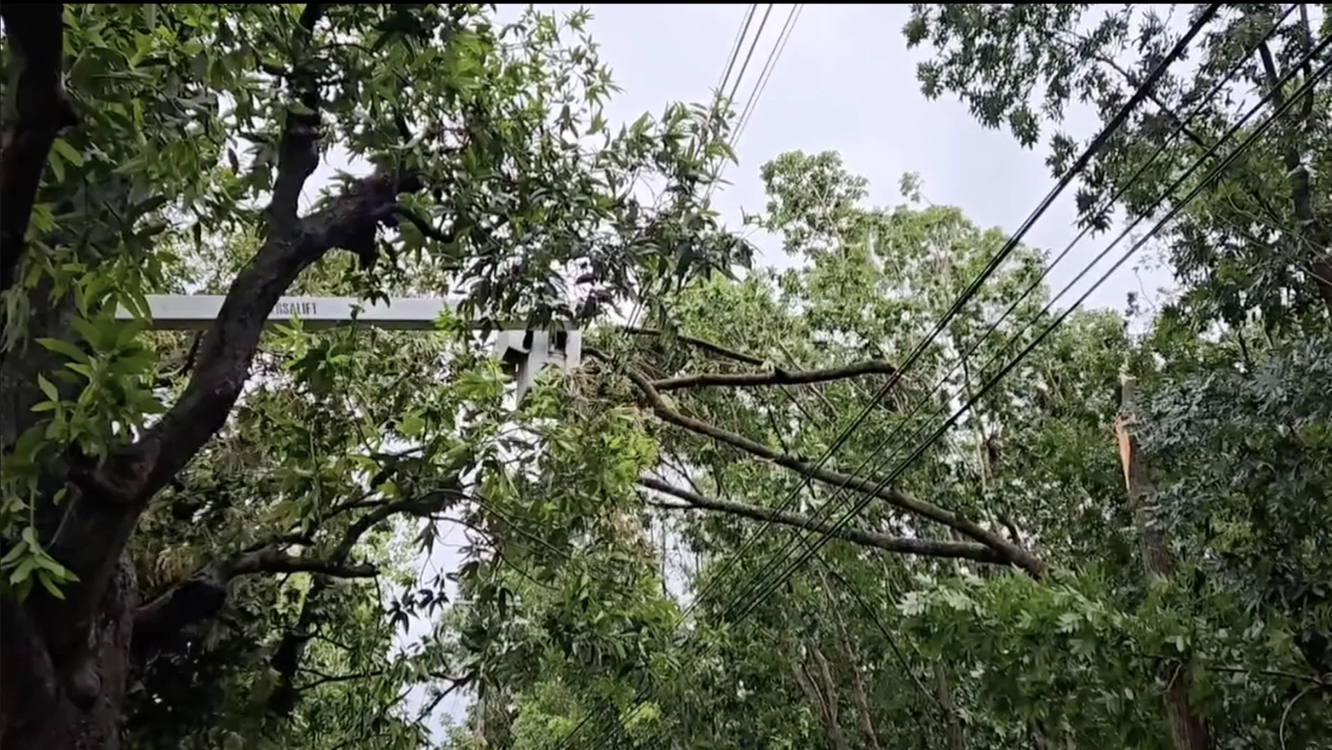目前雲林仍有3萬多戶停電中，台電雲林區處積極搶修。台電雲林區提供