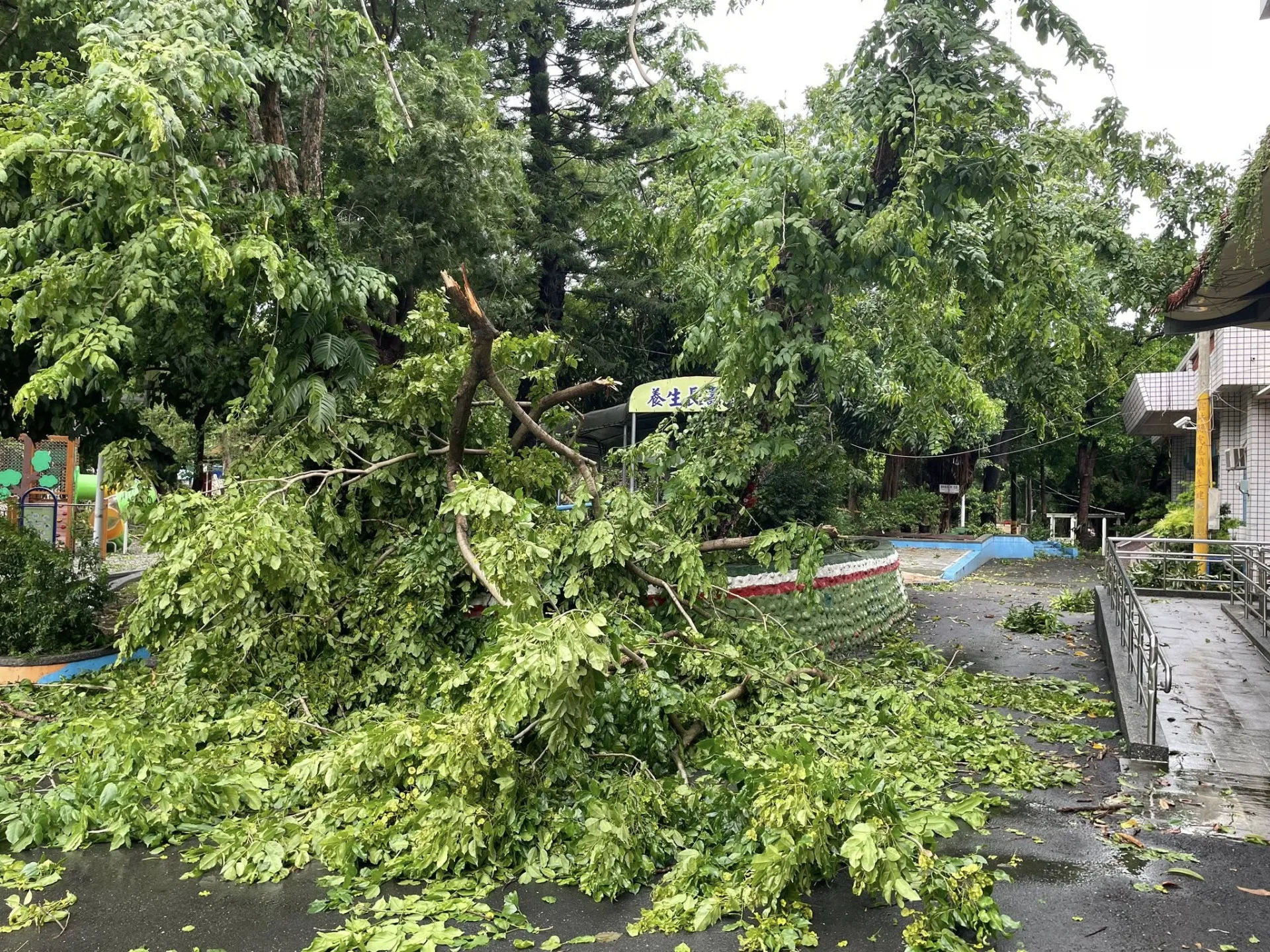 颱風造成虎尾鎮內632高地公園、大崙腳公園及大成多功能公園都有部分樹倒及樹枝斷裂情事。翻攝自虎尾鎮公園路燈管理所 臉書