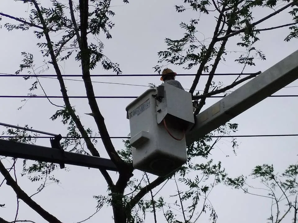 目前雲林仍有3萬多戶停電中，台電雲林區處積極搶修。台電雲林區提供