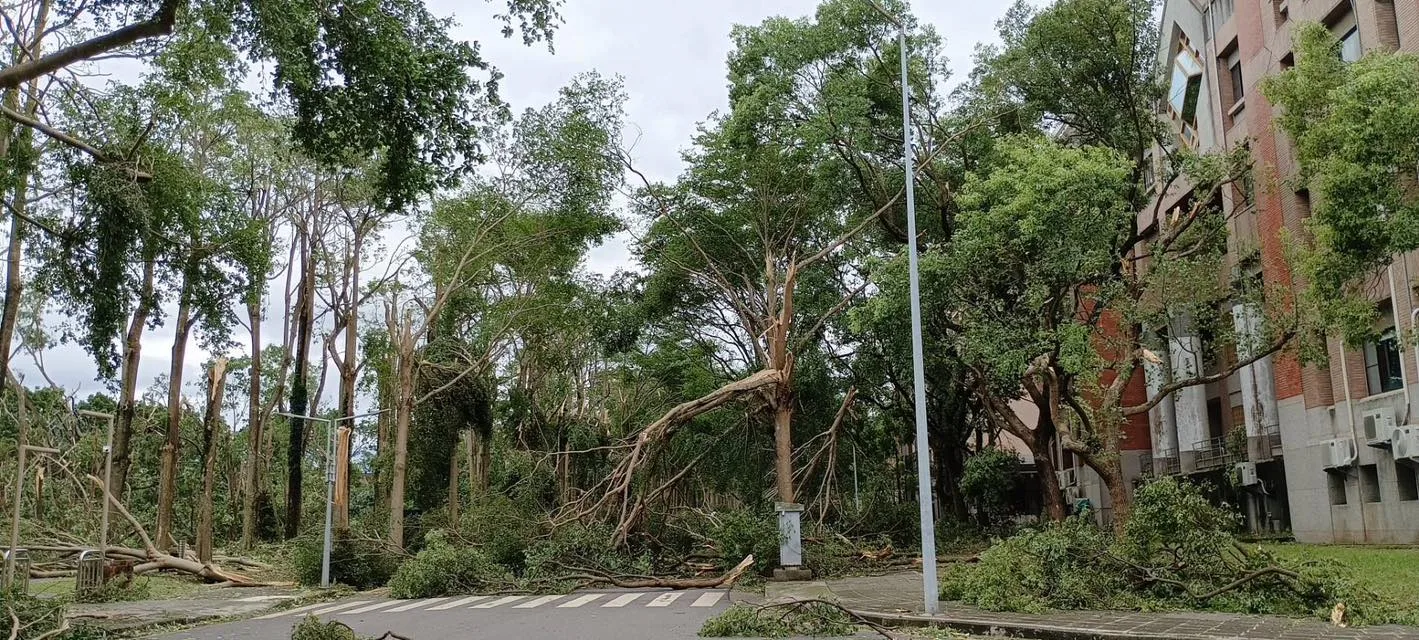 位處嘉義縣民雄鄉的國立中正大學災情同樣嚴重，校園多處樹木倒伏。中正大學提供