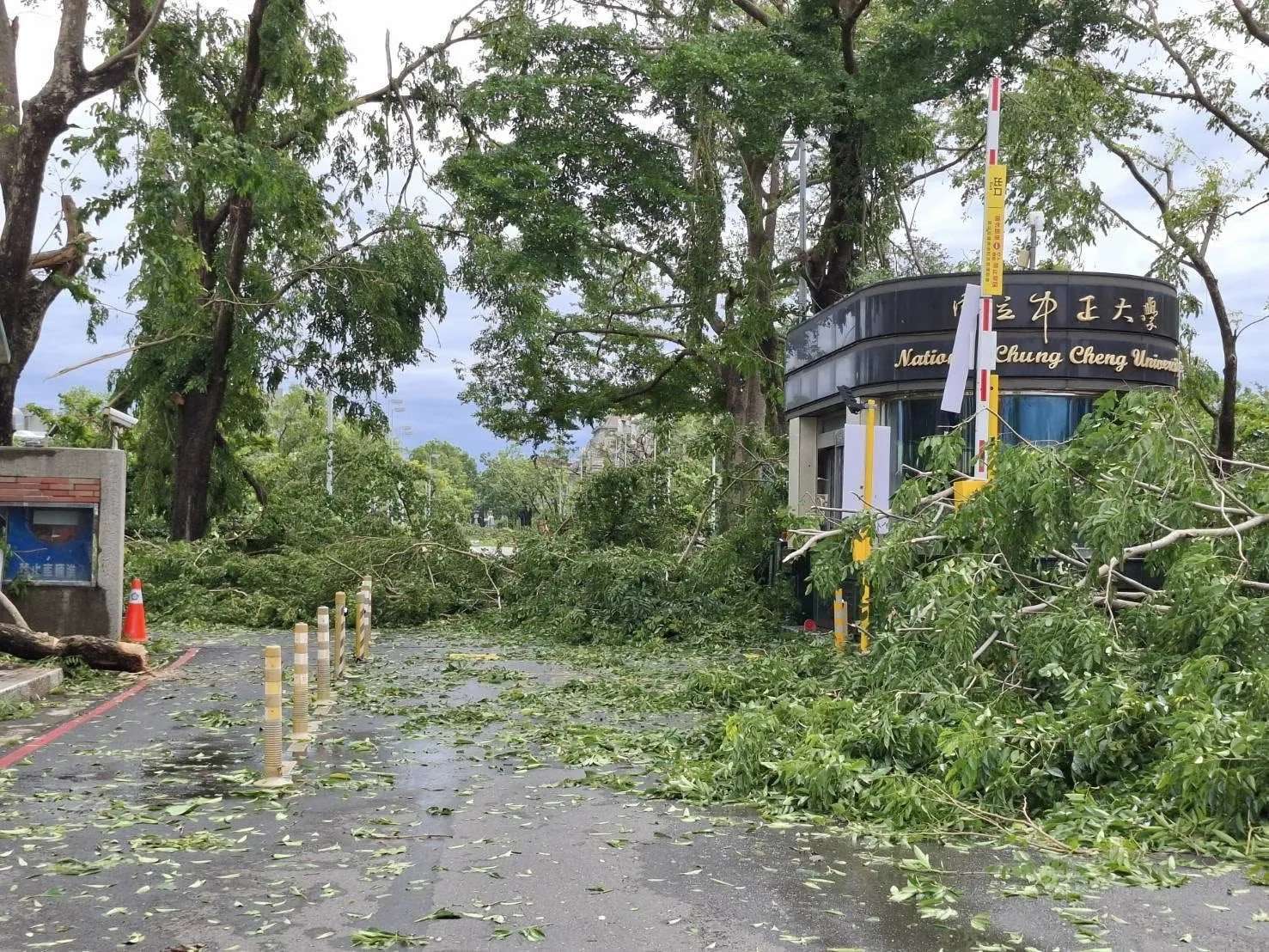 位處嘉義縣民雄鄉的國立中正大學災情同樣嚴重，校園多處樹木倒伏。中正大學提供
