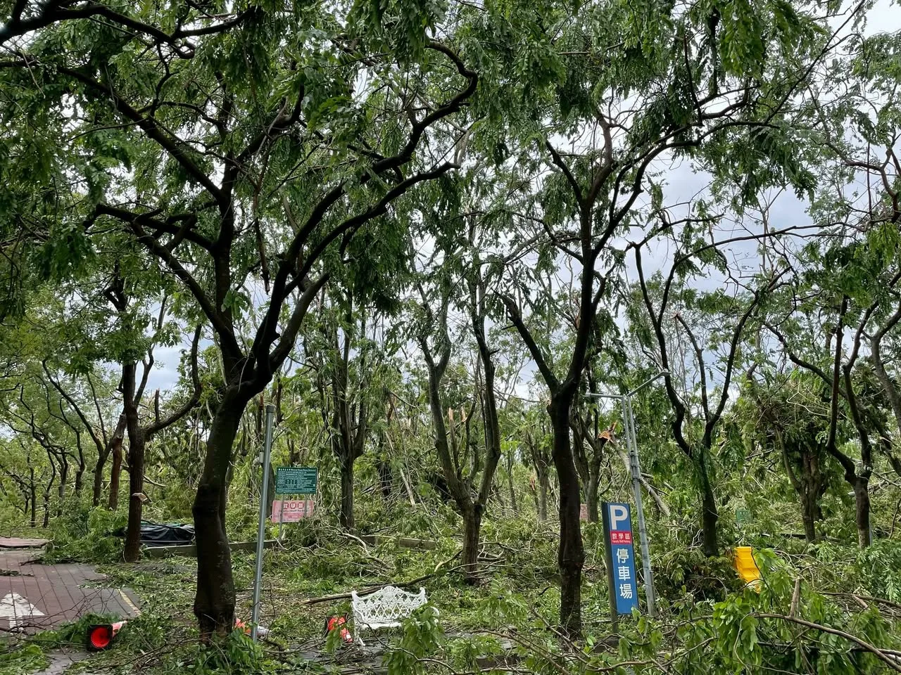 位處嘉義縣民雄鄉的國立中正大學災情同樣嚴重，校園多處樹木倒伏。中正大學提供