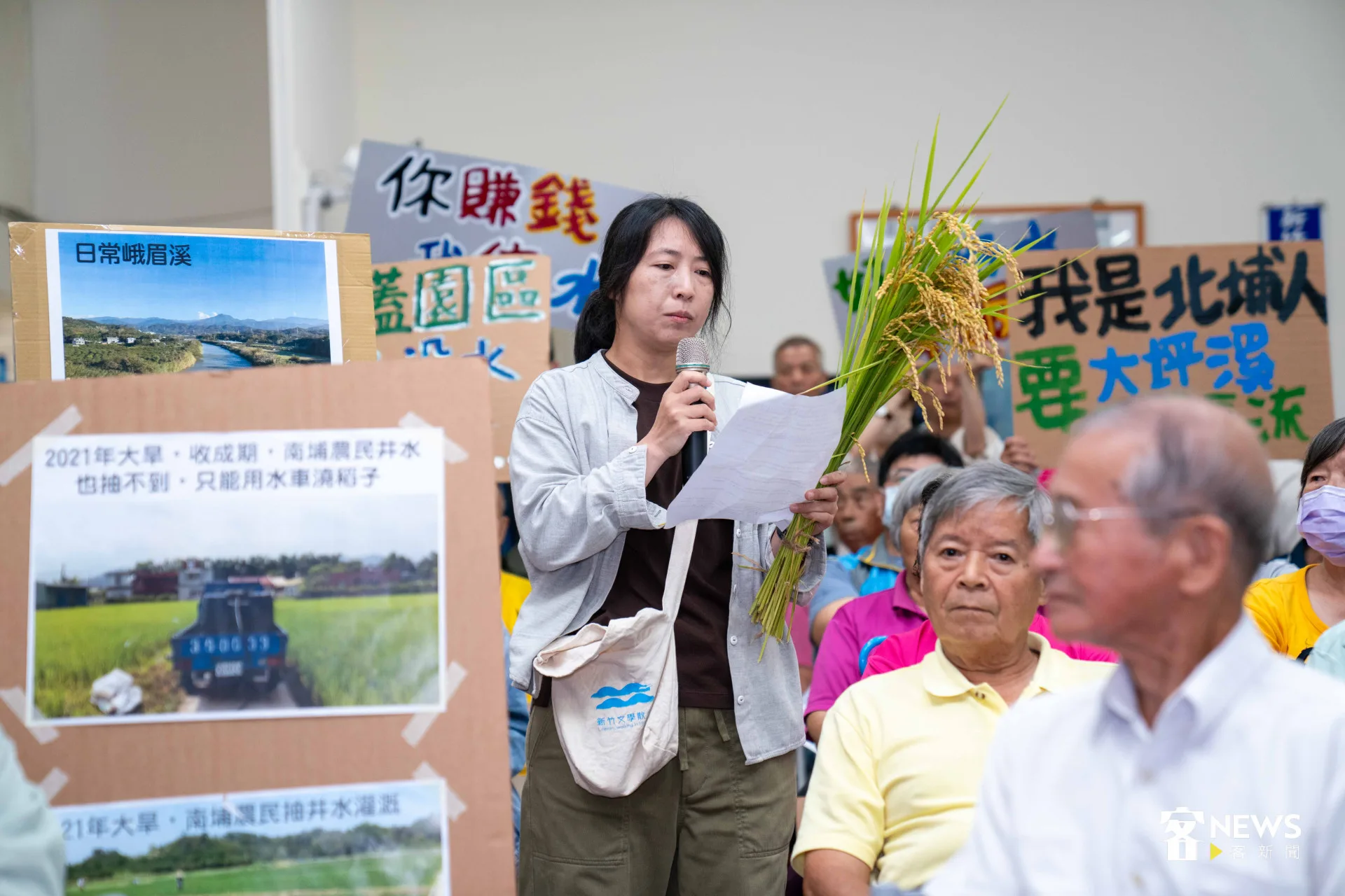 南埔社區發展協會經理張伊貝,拿著一株剛割下來的「無毒冷泉米」。宋佩遙攝