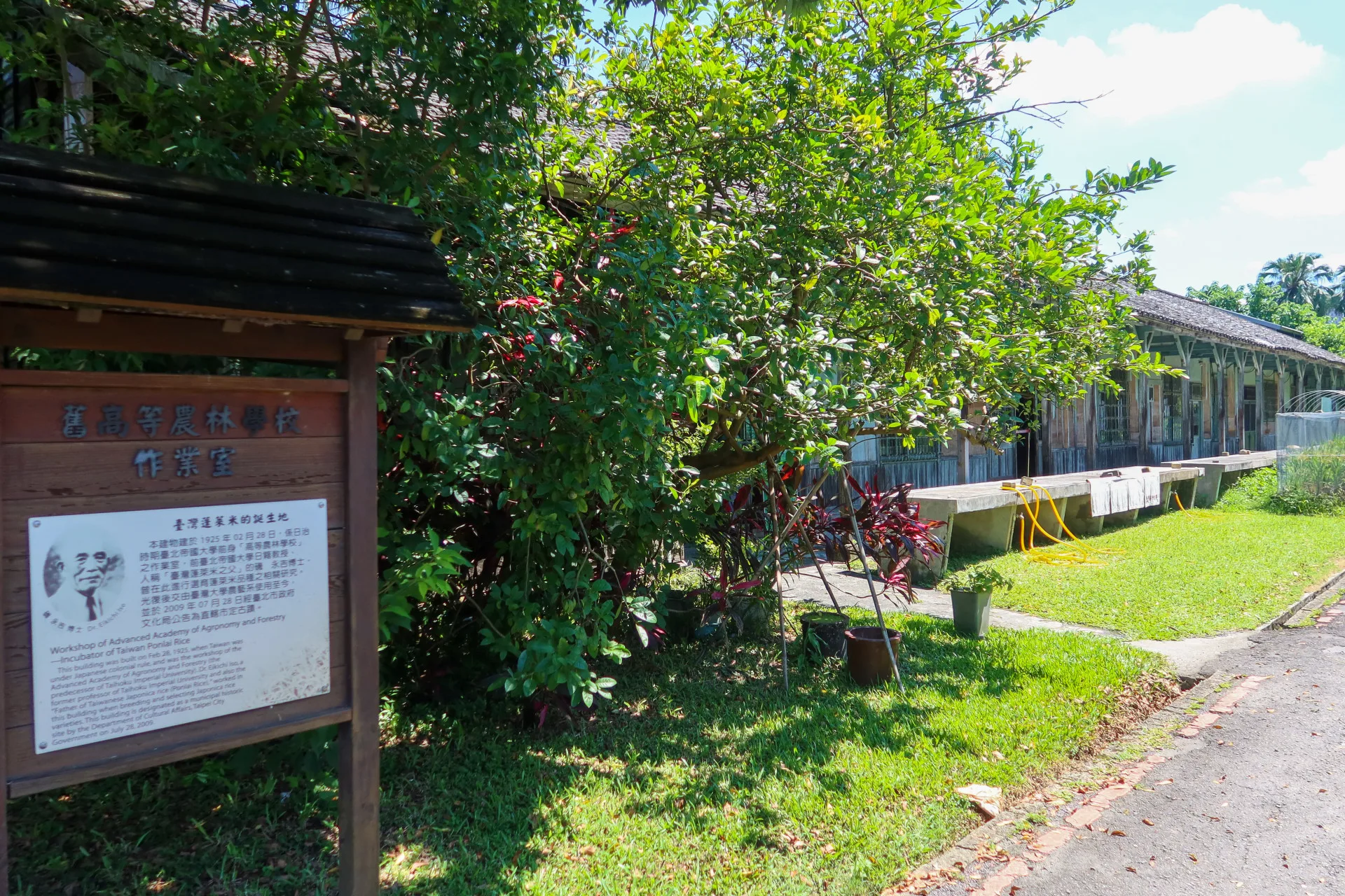 位於台大農學院的「舊高等農林學校作業室」，是當年磯永吉研究稻種的基地，建於1925年，有百年歷史，已被台北市政府列為市定古蹟。何來美攝