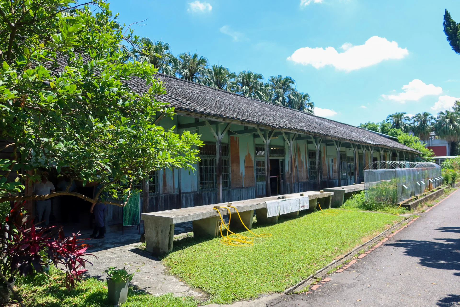 舊高等農林學校作業室又稱為「磯永吉小屋」，長期展出台灣稻米發展史。何來美攝