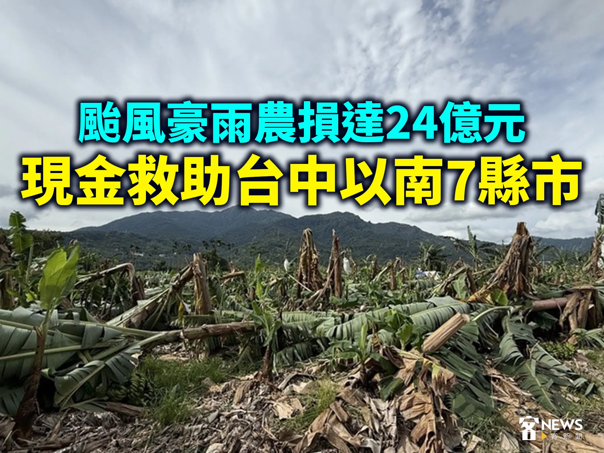 颱風豪雨農損達24億元　現金救助台中以南7縣市