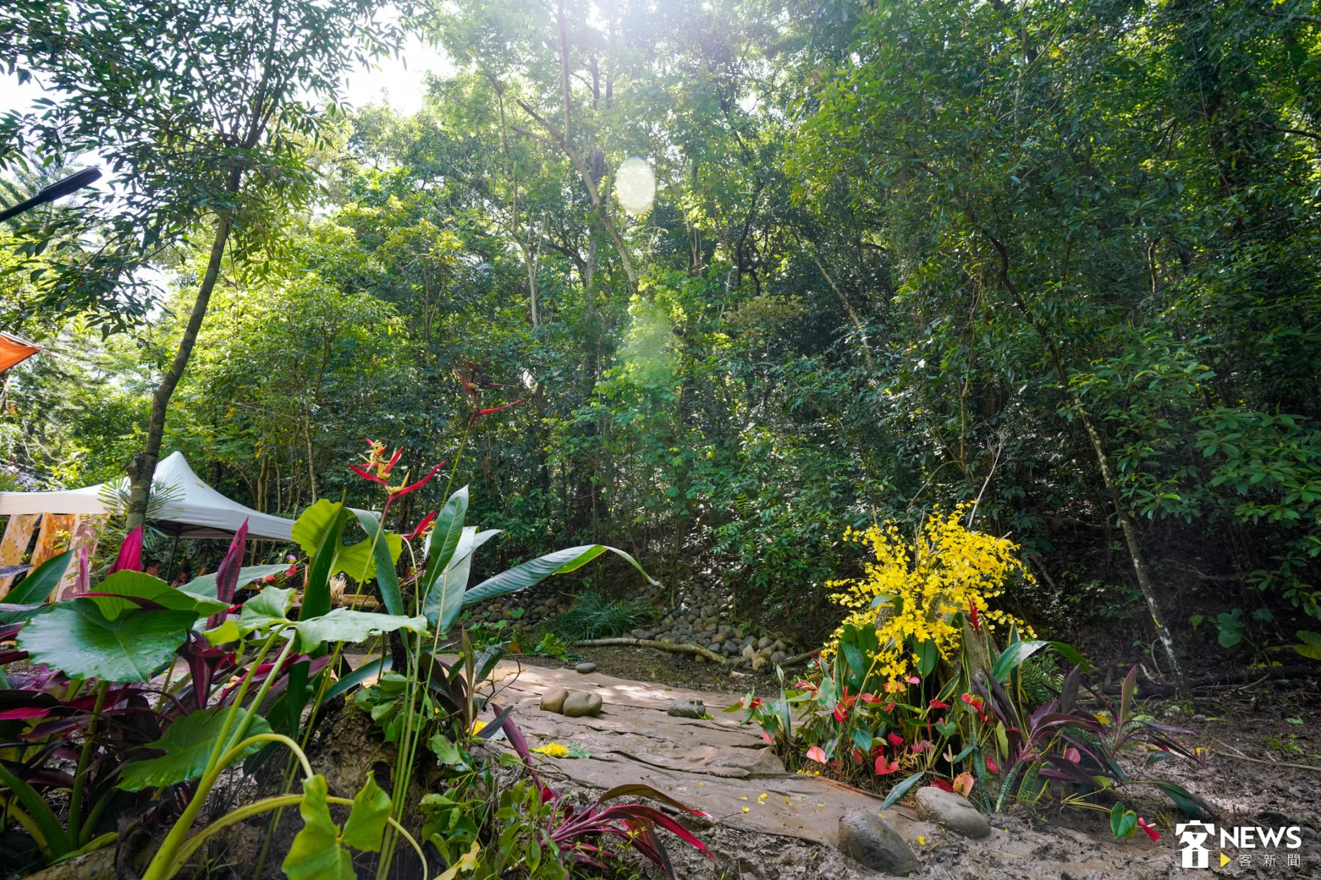 這次黃蝶祭因前幾日颱風，溪邊水勢過大，所以辦在雙溪熱帶樹木園中。朱愷元攝