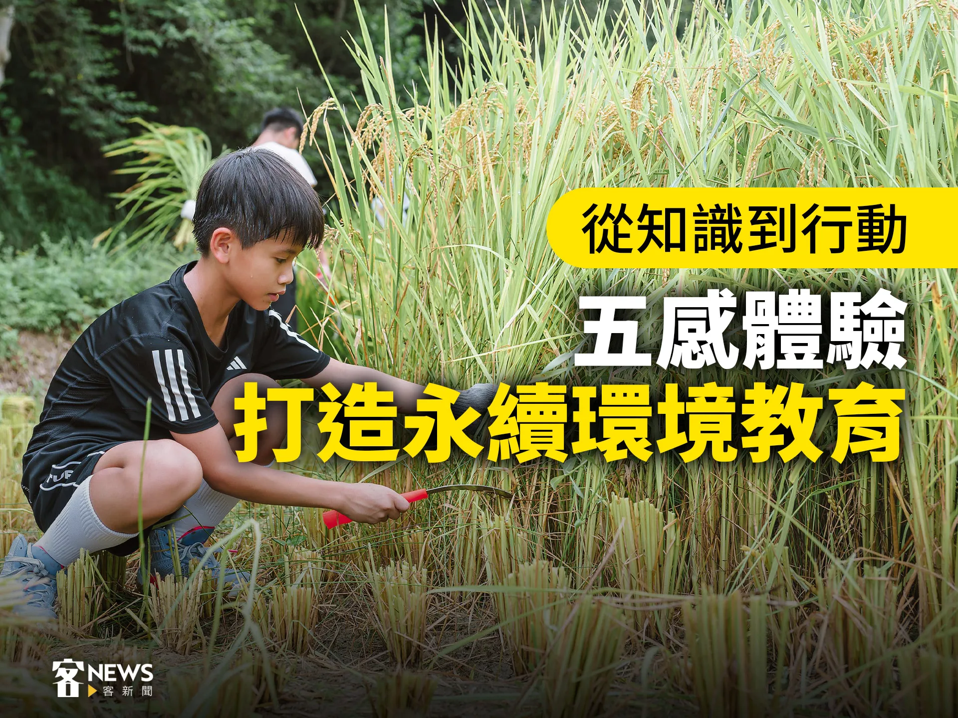 從知識到行動　五感體驗打造永續環境教育