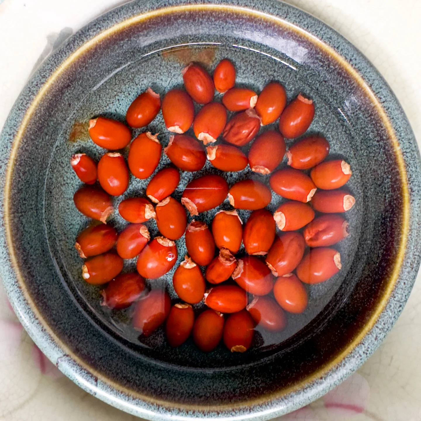 黑葉的荔枝核，可以等待發芽用作盆栽。