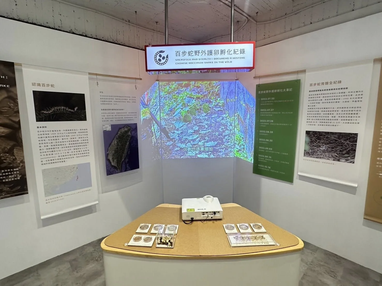 八仙山國家森林遊樂區遊客中心「百步蛇野外護卵孵化紀錄」特展